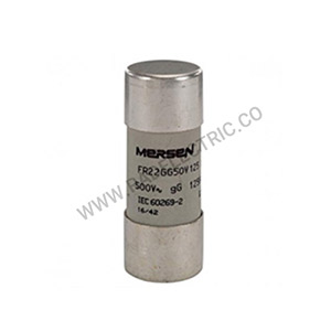 فیوز فراز FR22GG50V125
